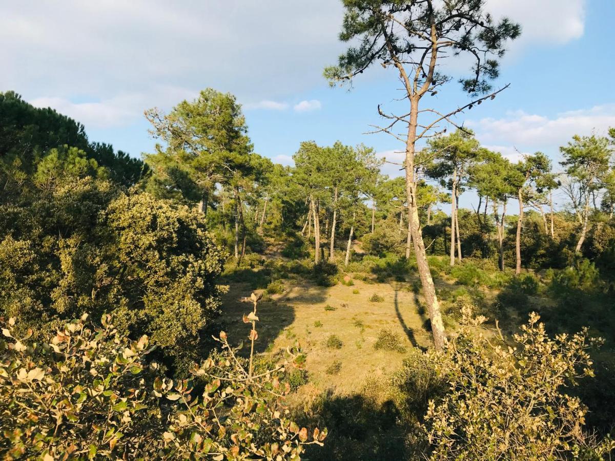 Le Miramar, Face Mer Et Standing Saint-Jean-de-Monts Kültér fotó